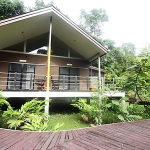 Mulu National Park